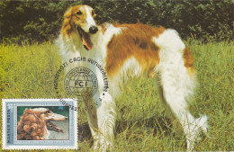 Carte Maximum Hongrie Hungary Dog Chien Barzoï  2224 - Cartoline Maximum