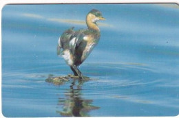 OMAN(chip) - Bird, Little Grebe, 05/02, Used - Oman