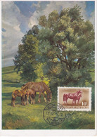 Carte Maximum Hongrie Hungary Cheval Horse  Pa111 - Tarjetas – Máximo