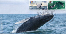 Lote 2023-16F, Colombia, 2023, SPD-FDC, Colombia-Argentina 200 Años Relaciones Bilaterales, Whale - Colombia