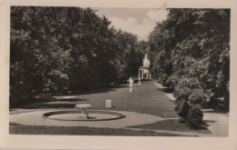 76982 - Neustrelitz - Blick In Den Stadtpark - Ca. 1955 - Neustrelitz