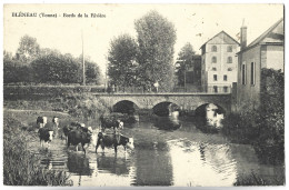 BLENEAU - Bords De La Rivière - Vaches - Bleneau