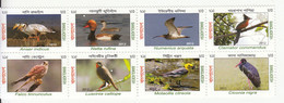 2012 Bangladesh Migratory Birds Oiseaux Ducks Falcon Complete Block Of 8 MNH - Bangladesch