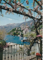 U5724 Ascona - Lago Maggiore - Collina San Michele - Panorama /  Non Viaggiata - Ascona