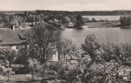 4487 - Zechlin - Blick über Schwarzen Zum Grossen Zechliner See - 1965 - Rheinsberg