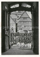 73669536 Lauterbach Hessen Blick Aus Dem Hohhaus Tauben Loewendenkmal Lauterbach - Lauterbach