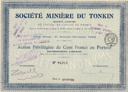 Indochine - Sté Minière Du Tonkin - Action Privilégiée De 100 Fcs / 1919 - Asien