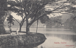 Ceylon: 1909: Picture Post Card Kandy To Freiberg - Sri Lanka (Ceylon) (1948-...)