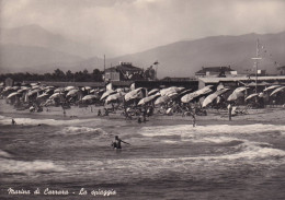 Cartolina Marina Di Carrara ( Carrara ) La Spiaggia - Carrara