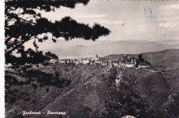 Cartolina Fosdinovo ( Massa Carrara ) Panorama - Carrara