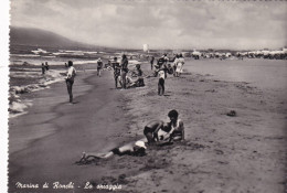 Cartolina Marina Di Ronchi ( Massa E Carrara ) La Spiaggia - Massa