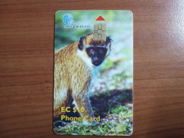 St. Kitts & Nevis - Monkey - St. Kitts En Nevis