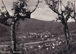 Cartolina Pontremoli ( Massa Carrara ) Panorama - Massa