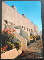 Marines De COGOLIN Une Ruelle - Cogolin