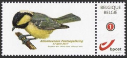 DUOSTAMP** / MYSTAMP** - Attenhovense Postzegelkring - Mésange Noire / Zwarte Mees / Schwarzmeise / Periparus Ater - Gom - Songbirds & Tree Dwellers