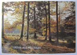 BELGIQUE - LIEGE - BULLANGE - La Forêt - Bullange - Büllingen