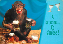 Animaux - Singes - Chimpanzé - Carte à Message - Bière - CPM - Voir Scans Recto-Verso - Singes
