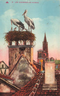 ILLUSTRATEUR - Les Cigognes En Alsace - Colorisé - Carte Postale Ancienne - Other & Unclassified