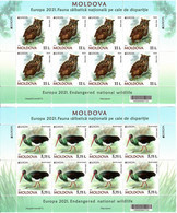 Moldova 2021 . Europa  CEPT. Endangered National Wildlife ( Birds , Owl , Stork ). 2 M/S Of 8 - Moldavië