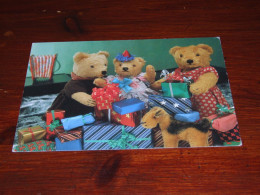 72412-          BEREN / BEARS / BÄREN / OURS / ORSI - Bears