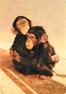 Animaux - Singes - Bébés Chimpanzé - Faune Africaine - CPM - Voir Scans Recto-Verso - Singes