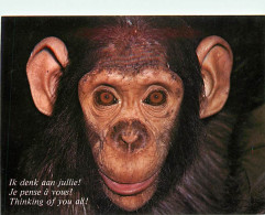 Animaux - Singes - Chimpanzé - Carte à Message - Carte Neuve - CPM - Voir Scans Recto-Verso - Singes