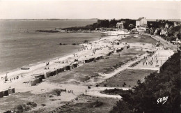 FRANCE - Carnac - La Pointe De Port En Drô - Carte Postale - Carnac