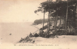 FRANCE - Arcachon (Gironde) - Bord Du Basin Aux Abatilles - M D - La Forêt - Carte Postale Ancienne - Arcachon