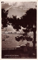 FRANCE - Andernos Les Bains - Vue Sur La Jetée - Coucher De Soleil Sur Le Bassin - Tito - Carte Postale Ancienne - Andernos-les-Bains