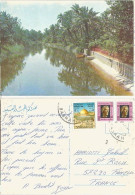 Iraq Irak Palmtrees In Basrah Near By The River - #2 Pcard Nicely Used In 1979/1985 With Good Frankings - Trees