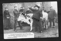Le Pari Est Engagé Pour Une Vache, Entre M. Van Rieth Marchand De Bétail ....l Homme Le Plus Fort/ Janssen Wuestwezel - Other & Unclassified