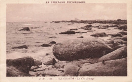 FRANCE - La Bretagne Pittoresque - Ile Grande - La Côté Sauvage - Vue Générale - Carte Postale Ancienne - Sonstige & Ohne Zuordnung