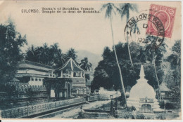 SINGAPORE - 1928 - CP De COLOMBO (CEYLON) EXPEDIEE De TANJONG PAGAR => TOULON - Straits Settlements