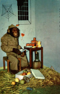 HUMOUR SINGE EN PRISON - Singes