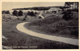 Fietspad Door De Duinen, Ameland - Ameland