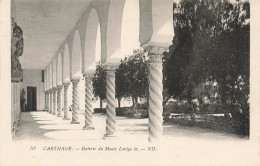 TUNISIE - Carthage - Vue Sur La Galerie Du Musée Lavige Ie - N D - Vue Générale - Carte Postale Ancienne - Tunisia