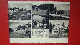 Menina Planina.-Smrekovec,Biba,P.D.Gornji Grad. - Slovénie