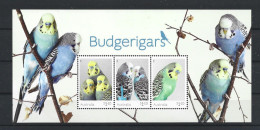 Australia 2022 Budgerigars S/S Y.T. BF 339  ** - Blokken & Velletjes