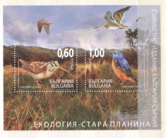 Bulgaria 2009- Mountain Birds M/Sheet - Ungebraucht