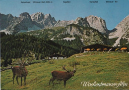 106413 - Österreich - Ellmau - Wochenbrunner Alm - Ca. 1980 - Kufstein