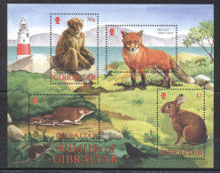 Gibraltar 2002- Wild Life Of Gibraltar M/Sheet - Gibraltar
