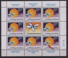 503 Montenegro 2002, Struggle Against Cancer, With Engraver, Sheet, MNH - Montenegro