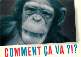 Animaux - Singes - Chimpanzé - Carte à Message - Voir Timbre - CPM - Voir Scans Recto-Verso - Singes