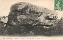 FRANCE - Nemours - Rochers Saint Pierre - Propriété Gréau - Le Crocodile - L L - Carte Postale Ancienne - Nemours