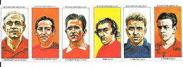 CG63 - SUN SOCCER CARDS - LUIS DEL SOL - LUIS SUAREZ - PIRRI - GENTO - PUSKAS - DI STEFANO - Trading Cards