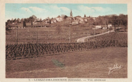 FRANCE - Lussac De Libourne (Gironde) - Vue Générale D'un Grand Champs - Carte Postale Ancienne - Libourne