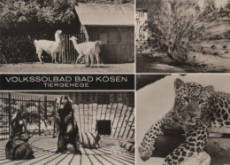 80966 - Bad Kösen - Tiergehege - 1971 - Bad Koesen