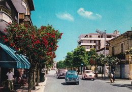 Porto San Giorgio Viale Della Stazione - Sonstige & Ohne Zuordnung