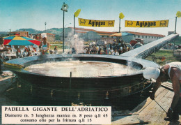 Padella Gigante Dell'Adriatico Porto San Giorgio - Altri & Non Classificati