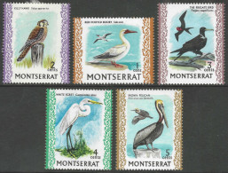 Montserrat. 1970 Birds. 7 MH Values To 5c. SG 249. M3071 - Montserrat